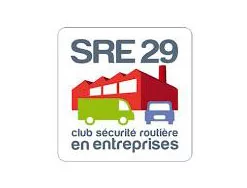 SRE 29